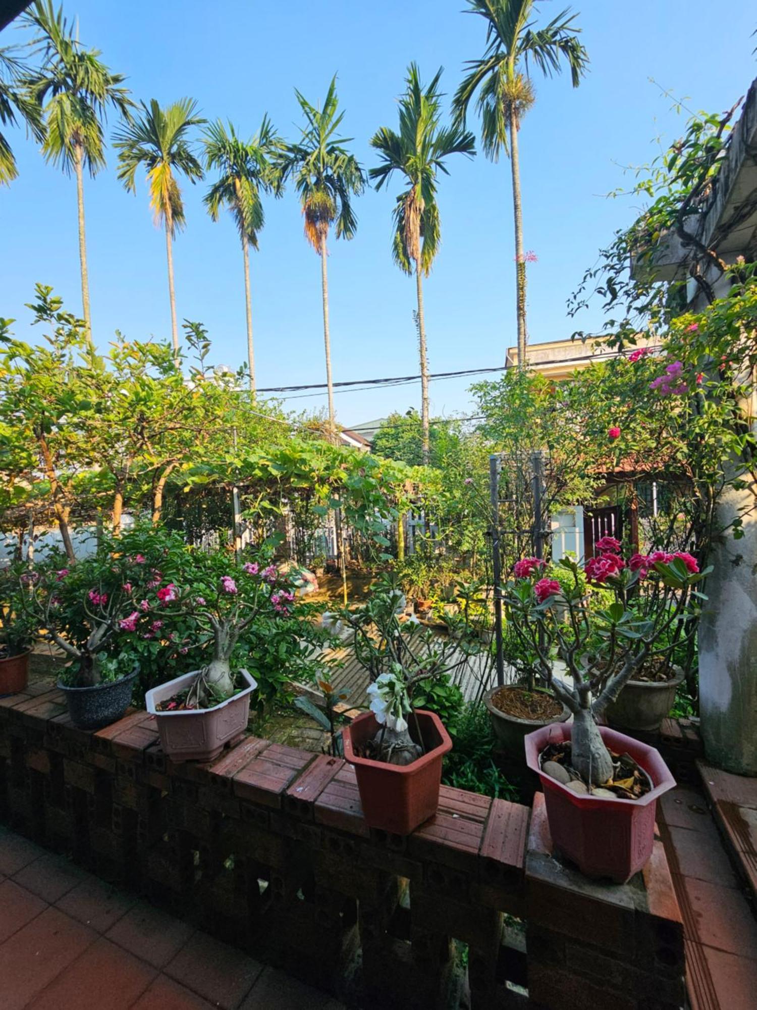 Rose Homestay Hue Thon Kim Long ภายนอก รูปภาพ